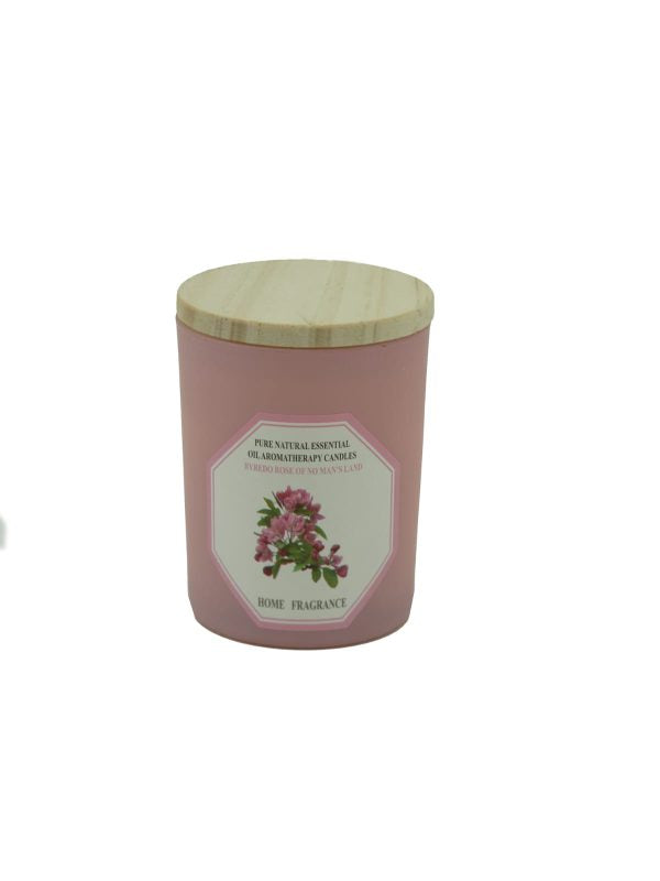 Expressions Beautiful Life Scented Candle: Enhance Your Space with Serenity